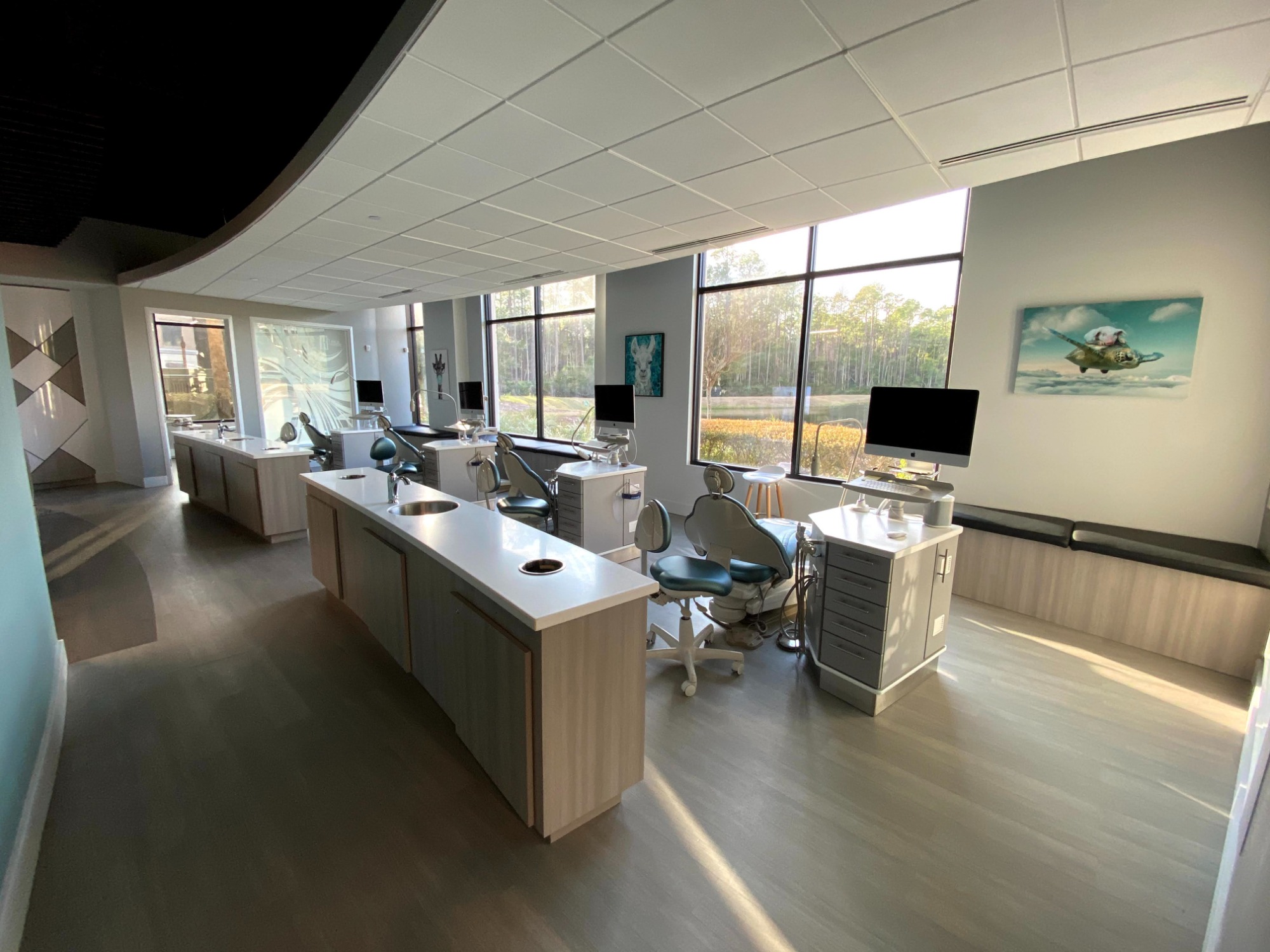 Orthodontist Office Denver CO
